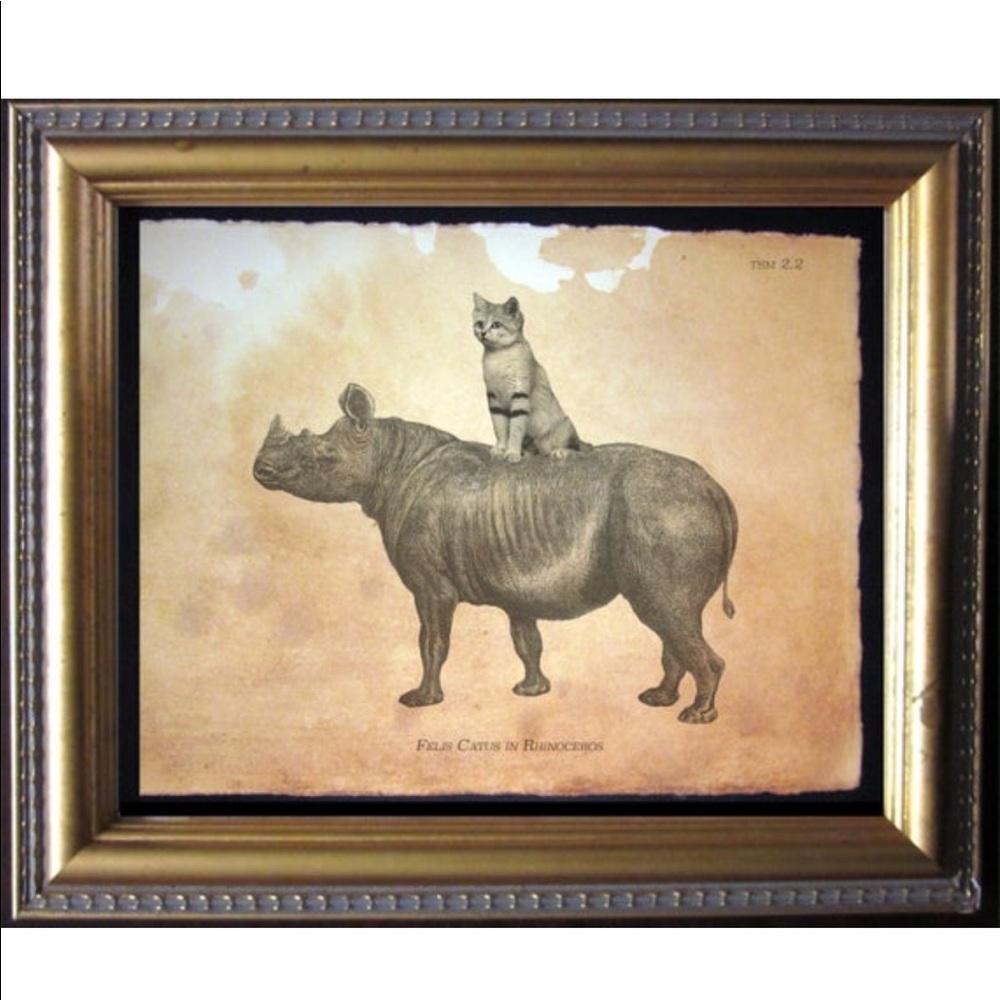 Sand Cat Riding Rhino Wall Art Print Tea Stained